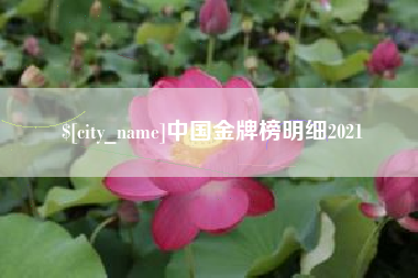 陆丰中国金牌榜明细2021