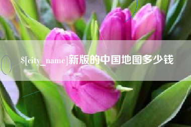 陆丰新版的中国地图多少钱