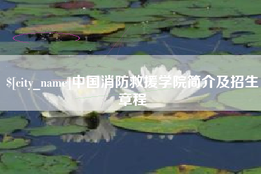 陆丰中国消防救援学院简介及招生章程