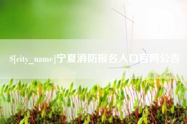 陆丰宁夏消防报名入口官网公告