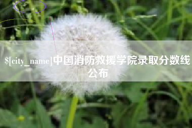陆丰中国消防救援学院录取分数线公布