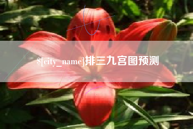 陆丰排三九宫图预测