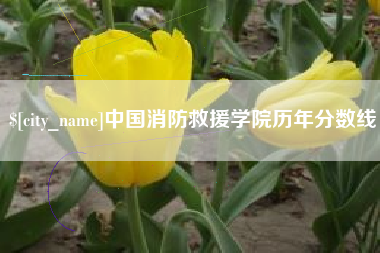 陆丰中国消防救援学院历年分数线