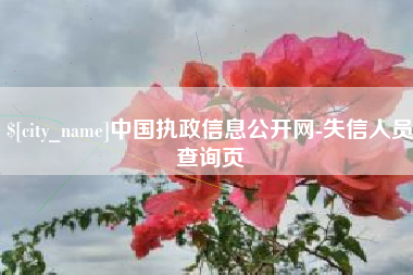 陆丰中国执政信息公开网-失信人员查询页