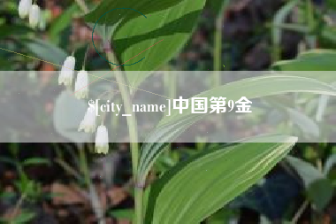 陆丰中国第9金