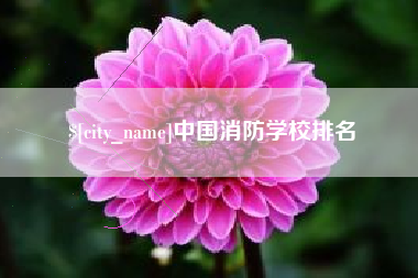 陆丰中国消防学校排名