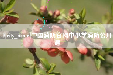 陆丰中国消防官网中小学消防公开课