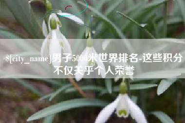 陆丰男子5000米世界排名-这些积分不仅关乎个人荣誉