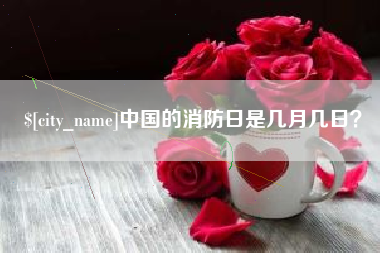 陆丰中国的消防日是几月几日？
