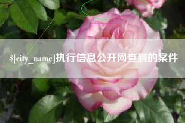 陆丰执行信息公开网查到的案件