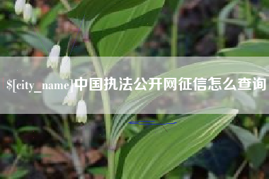 陆丰中国执法公开网征信怎么查询
