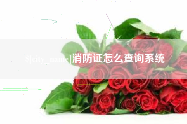 陆丰消防证怎么查询系统