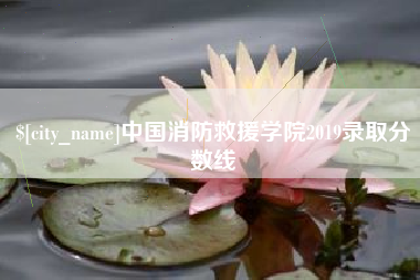 陆丰中国消防救援学院2019录取分数线