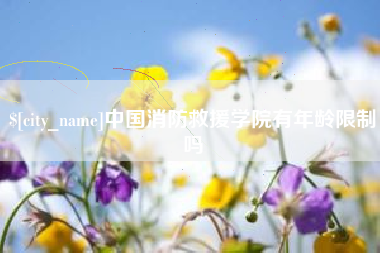 陆丰中国消防救援学院有年龄限制吗