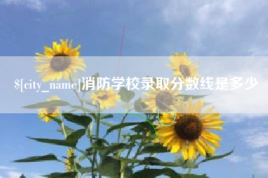 陆丰消防学校录取分数线是多少