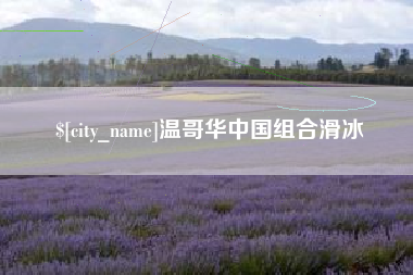 陆丰温哥华中国组合滑冰