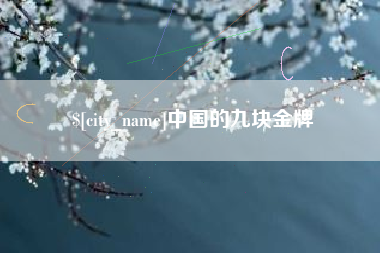 陆丰中国的九块金牌
