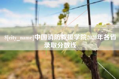 陆丰中国消防救援学院2020年各省录取分数线