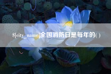 陆丰全国消防日是每年的( )