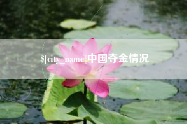 陆丰中国夺金情况