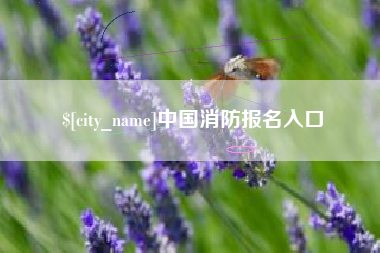 陆丰中国消防报名入口
