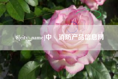 陆丰中囯消防产品信息网