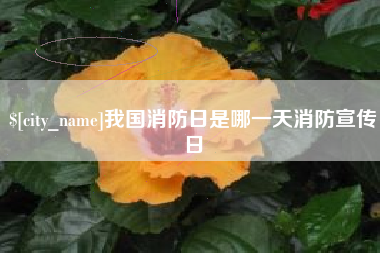 陆丰我国消防日是哪一天消防宣传日