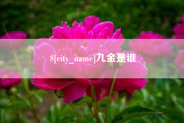 陆丰九金是谁