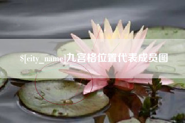 陆丰九宫格位置代表成员图