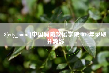 陆丰中国消防救援学院2019年录取分数线