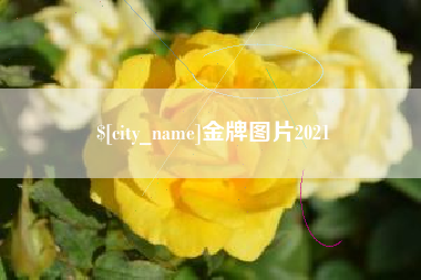 陆丰金牌图片2021