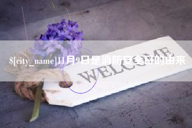 陆丰11月9日是消防安全日的由来