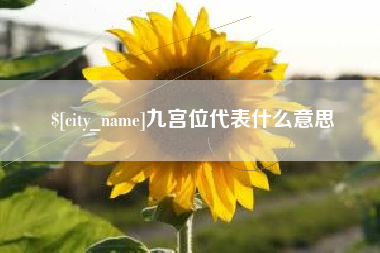 陆丰九宫位代表什么意思
