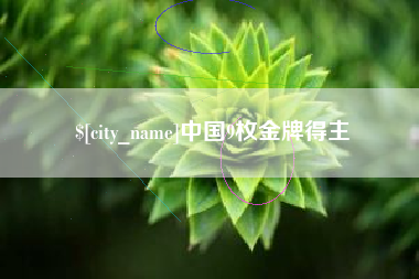 陆丰中国9枚金牌得主
