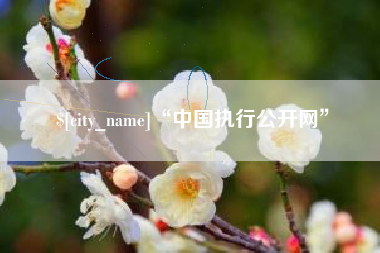 陆丰“中国执行公开网”