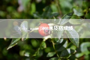 陆丰5000米及格成绩