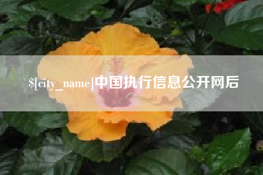 陆丰中国执行信息公开网后