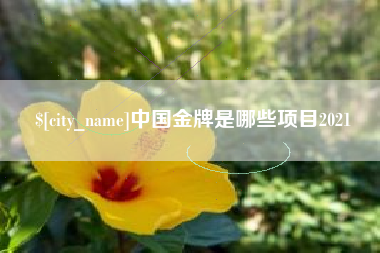 陆丰中国金牌是哪些项目2021