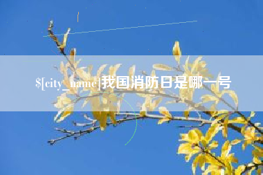 陆丰我国消防日是哪一号