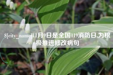 陆丰11月9日是全国119消防日,为积极推进修改病句