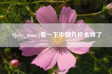 陆丰看一下中国几枚金牌了