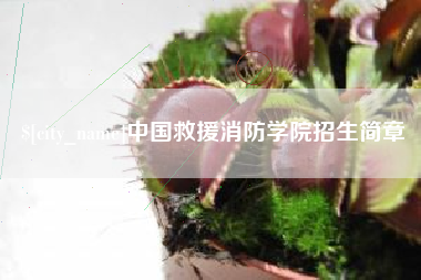 陆丰中国救援消防学院招生简章
