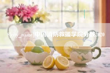 陆丰中国消防救援学院分数2020