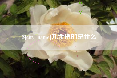 陆丰九金指的是什么