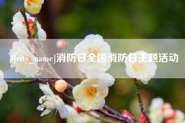 陆丰消防日全国消防日主题活动