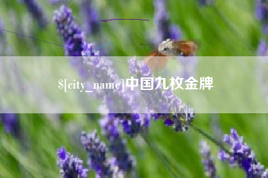 陆丰中国九枚金牌