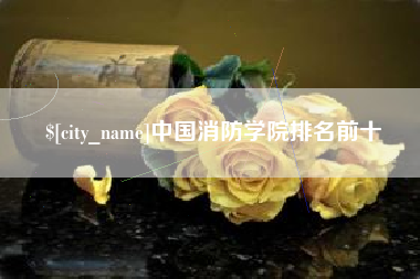 陆丰中国消防学院排名前十