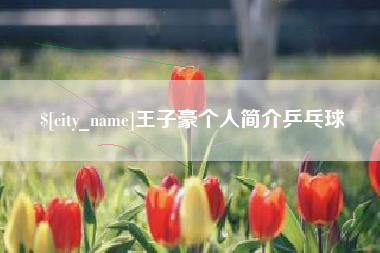 陆丰王子豪个人简介乒乓球
