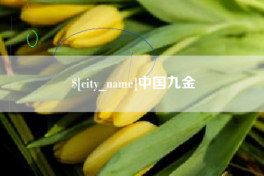 陆丰中国九金
