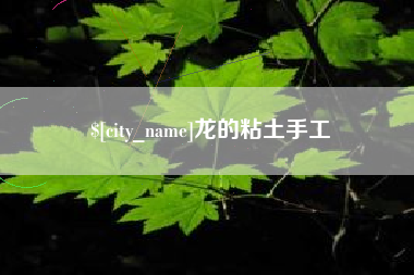 陆丰龙的粘土手工